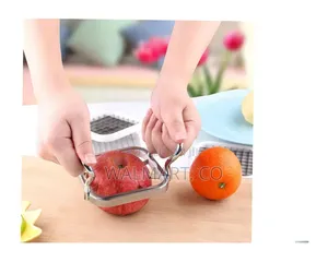 Apple Cutter Stainless Steel