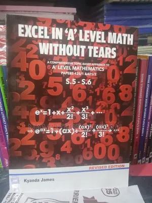 Excel in Mathematics Without Tears A.Level