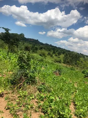 1 Acre for Sale in Kalule-Buvuma After Bombo