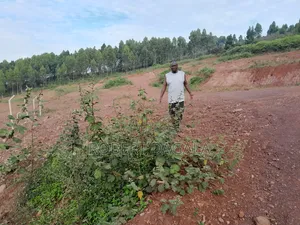 Plot for Sale With Title