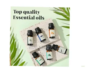 A Set of Essential Oils 6pcs