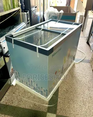 Hisense 301 Ltr Display Freezer