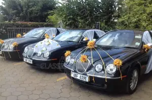 Jaguars for Hire