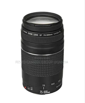 Canon Ef 75-300mm F/4-5.6 Iii Lens