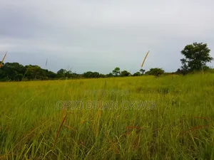 Farmland in Amuru District (50acres)