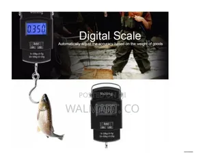 Digital Hanging Scale