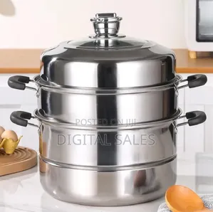 Stainless 2 Layer Food Steamer
