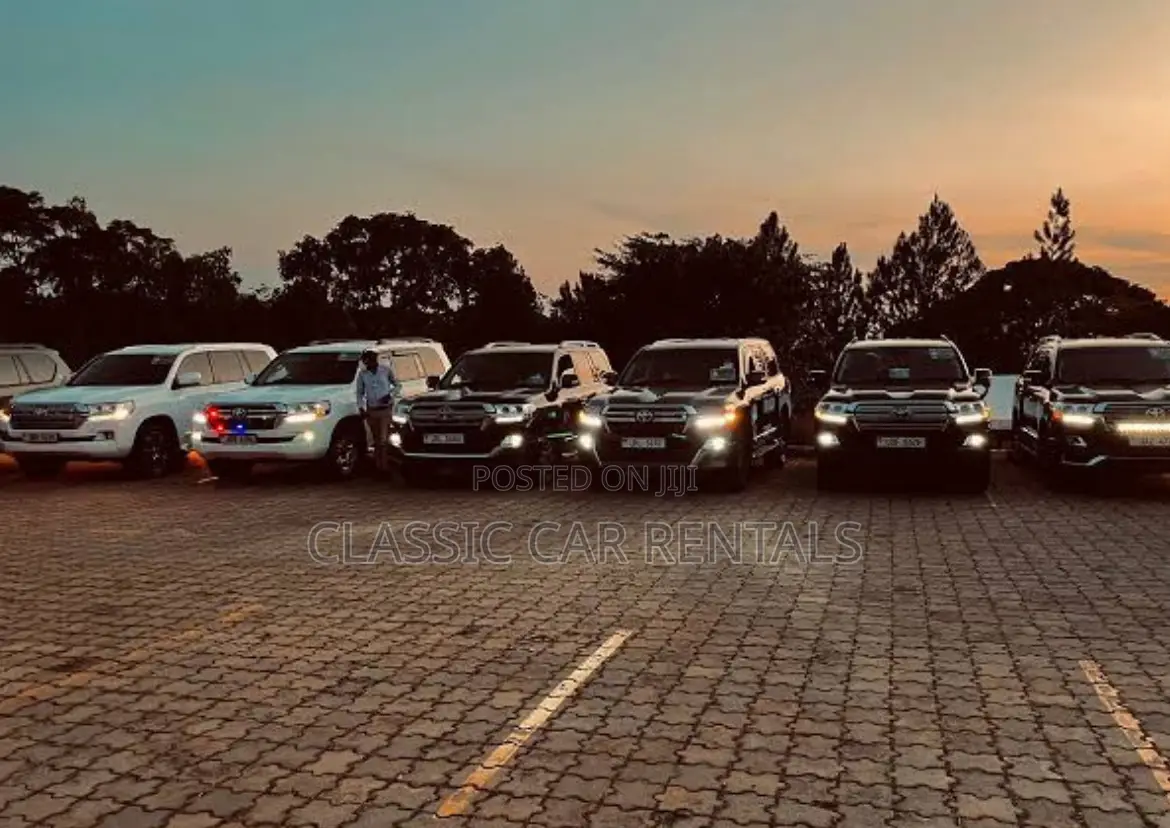 Landcruisers for Hire
