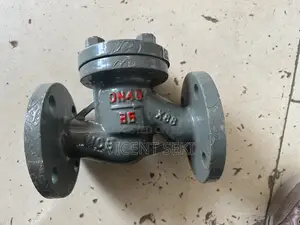 Steam Non Return Valve