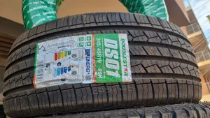 245/45r19 Double Star Tyre