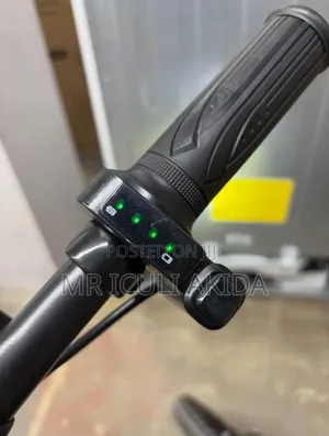 Jetson Bolt Pro 40km Operation Electric Bike Motor Disk 16"