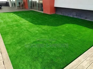 Vets Artificial Turf