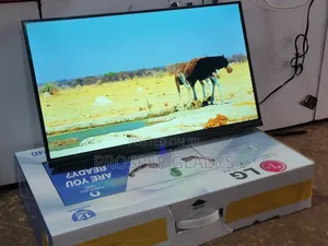 24 Inches Led Lg Digital Flat Screen Flameless.