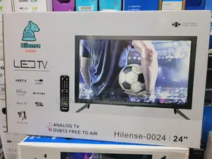 Hilense 24" Flatscreen Digital
