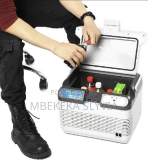 Car Fridge/10litre Mini Car Fridge Cooling Warming