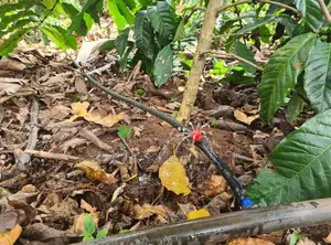 Irrigation Drippers With Multiple Outlet and Adjustable Flow