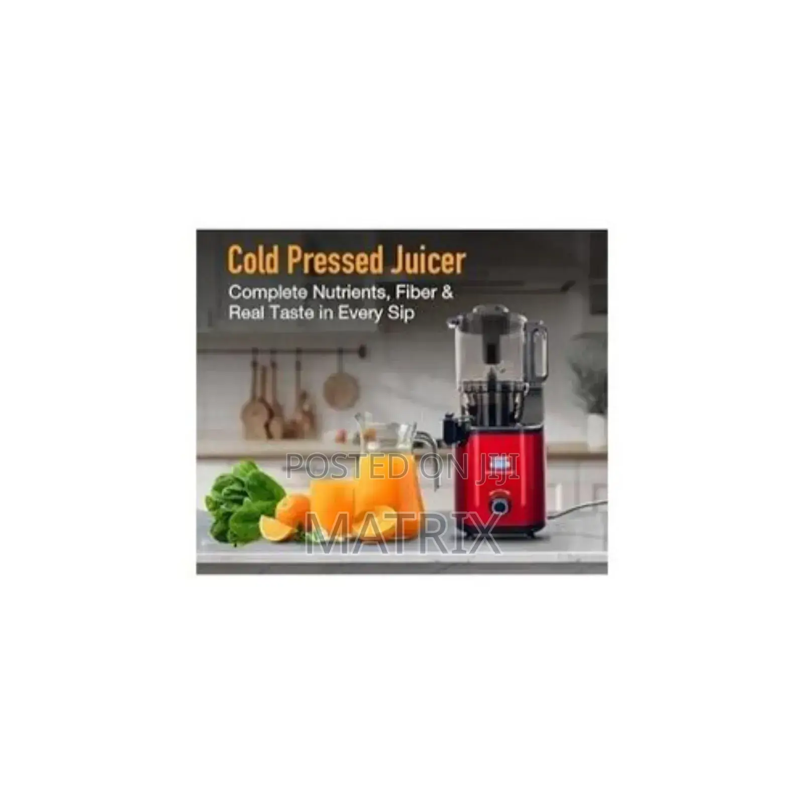 Hoffmans Multifunction Slow Juicer That Retains Nutrients