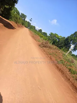 100 Fertile Acres in Kikyusa Luwero for Sale Each at 11m