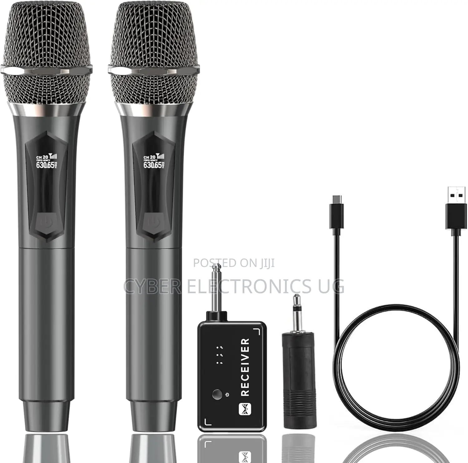 Dual Rechargeable Wireless Microphone With Reciever
