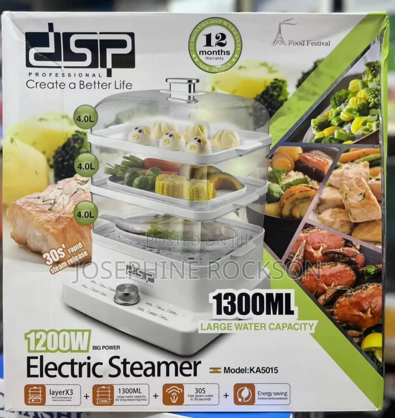DSP Electric Steamer