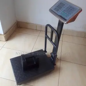 Weighing Platform Scale 150kg-180kg Food Weighing Scales