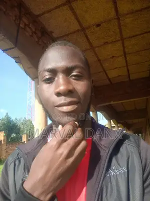 Sales Agent