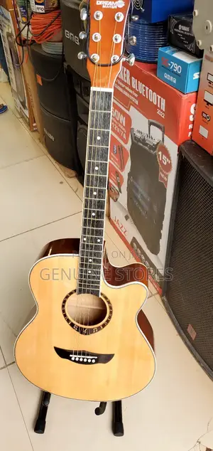 Dream Maker Acousitic Amplified Professional Guitar.