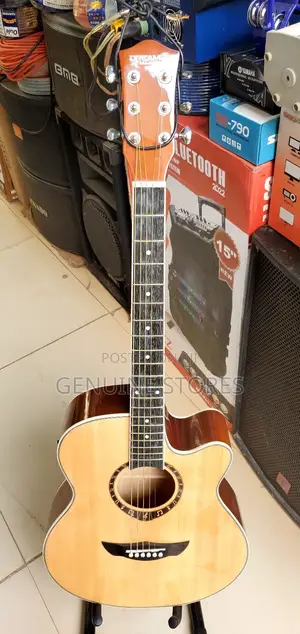 Dream Maker Acousitic Amplified Professional Guitar.