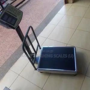 Good Quality Weighing Scales 350kg Weigh Platform Mini Weighing Scales