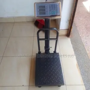 Platform Industrial 180kg Weights Weighing Machine