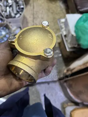 Brass Angle Check Valves