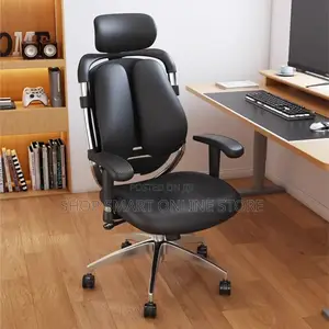 Office Orthopedic Chair With Adjustable Hands