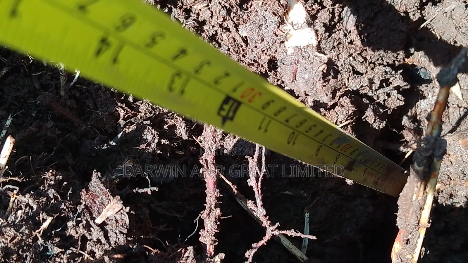 Soil Testing and Field Preparation Services