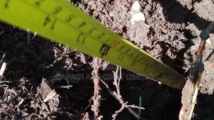 Soil Testing and Field Preparation Services