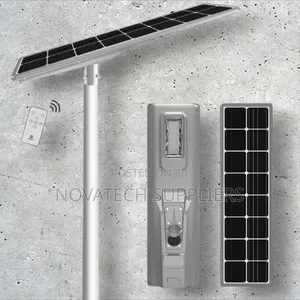 100w Blue Carbon Integrated Solar Light/ 10 Years Warranty