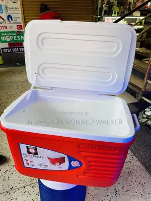 60l Ice Cooler Box