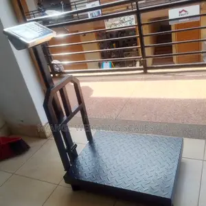 Electric Digital Weighing Scale Platform Weigh Scale 400kg-