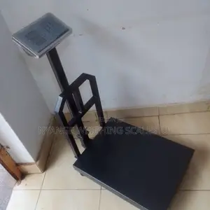 High Accuracy Weighing Scale Metal 350kg Weigh Platform Weighing Scale