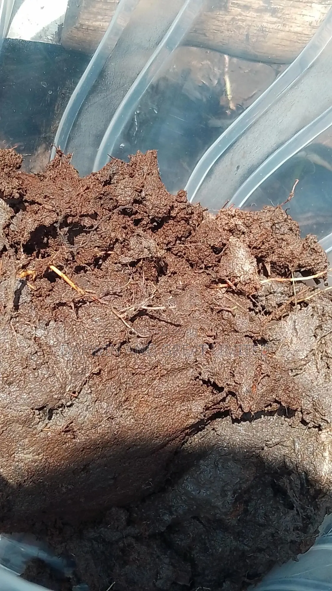 Soil Testing and Field Preparation Services