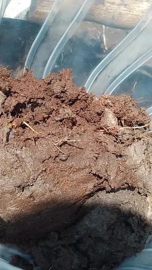 Soil Testing and Field Preparation Services