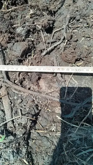 Soil Testing and Field Preparation Services