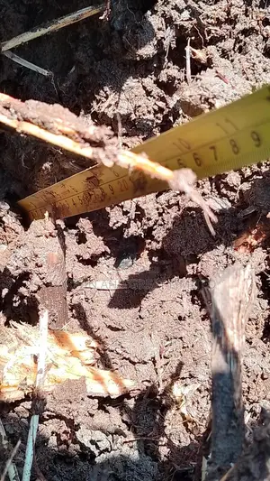 Soil Testing and Field Preparation Services
