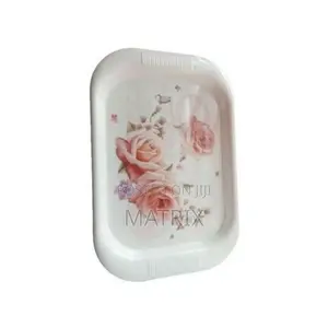 Melamine Tray for Serving Breakfast and Food