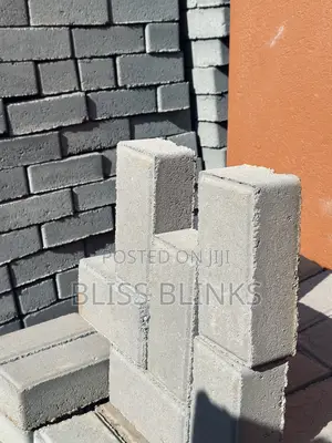 Rectangular Pavers 60mm
