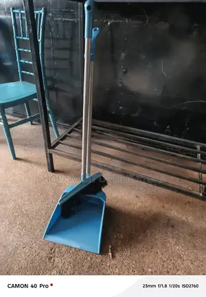Plastic Cleaning Dust Pan and Broom