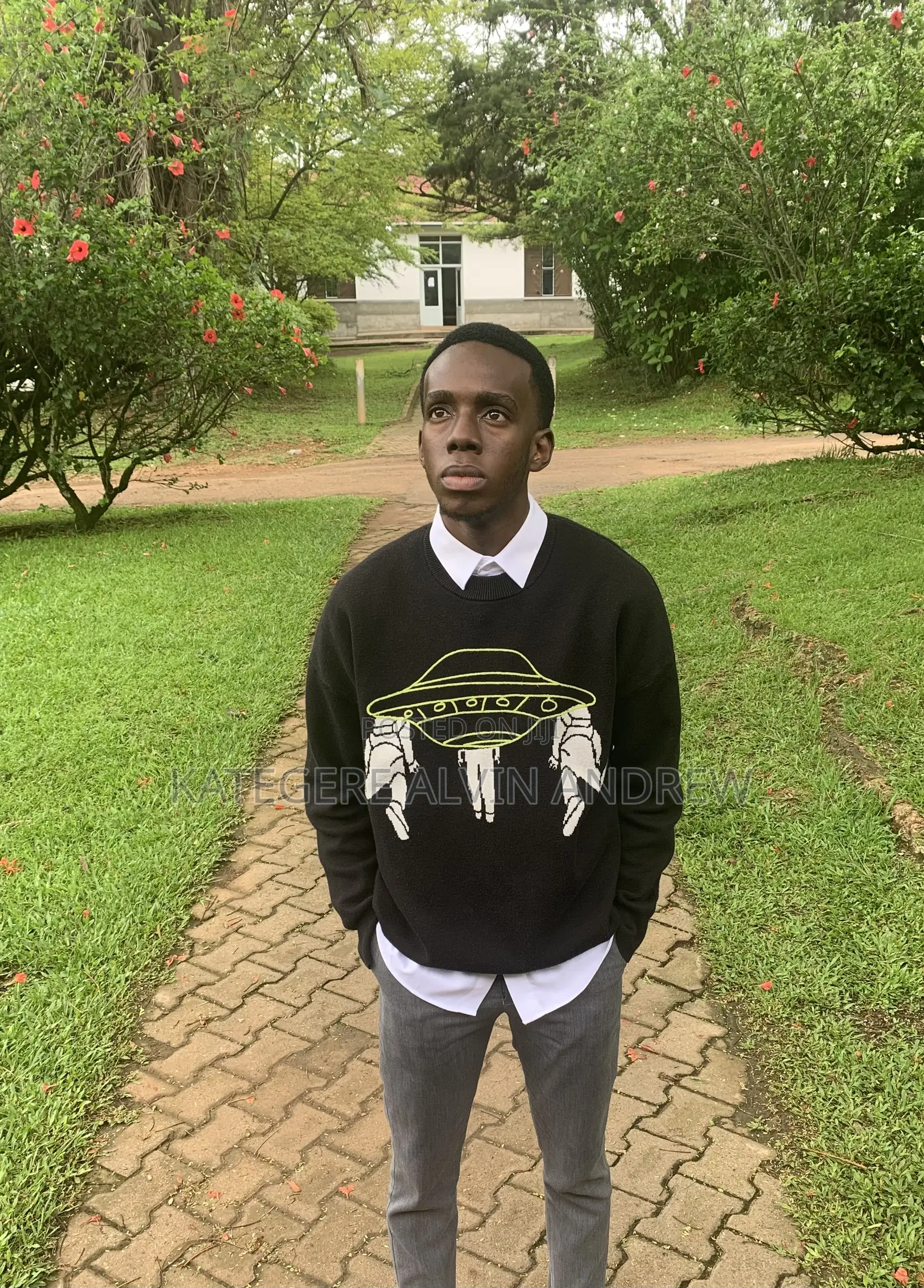 Junior It Officer