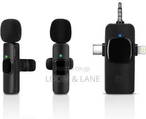 Professional Portable 3 in 1 Wireless Microphone