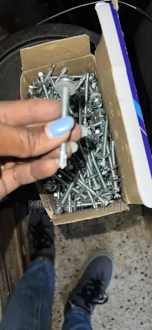 Self Tapping Screws / Self Drilling Screws