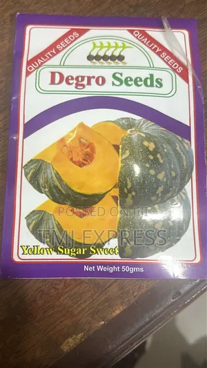 Yellow Sugar Sweet Pumpkin Seeds 50 GSM at 15000 ,100g at 30,000