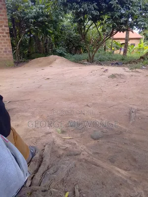 Commercial Plot for Sell